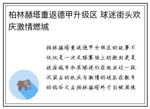 柏林赫塔重返德甲升级区 球迷街头欢庆激情燃城